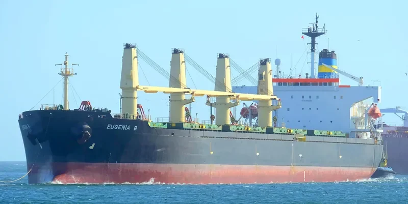 MARYAM Bulk Carrier IMO 9166883 photo 10