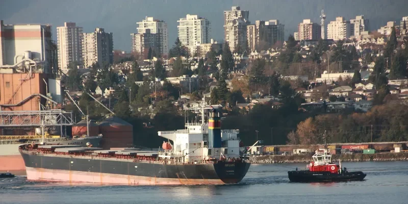 WOOYANG QUEEN Bulk Carrier IMO 9166900 photo 3