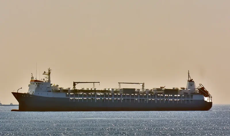 ANGUS EXPRESS General Cargo IMO 9167057