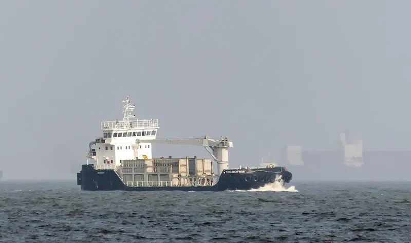 YUNG SHUE WAN General Cargo IMO 9167239