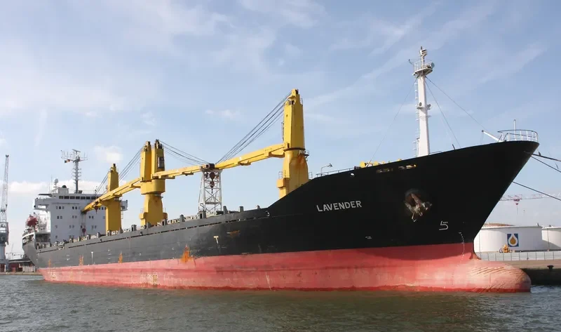 NESHAT General Cargo IMO 9167277 photo 7