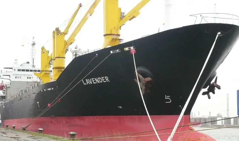 NESHAT General Cargo IMO 9167277 photo 8