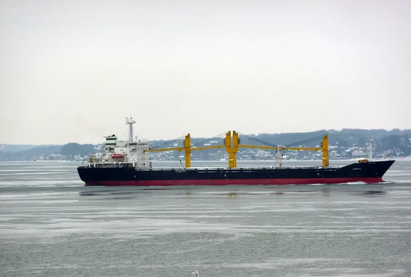 BEHSHAD General Cargo IMO 9167289 photo 2
