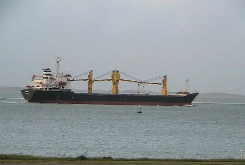 BEHSHAD General Cargo IMO 9167289 photo 8