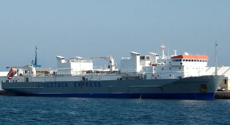 SHORTHORN EXPRESS General Cargo IMO 9167318