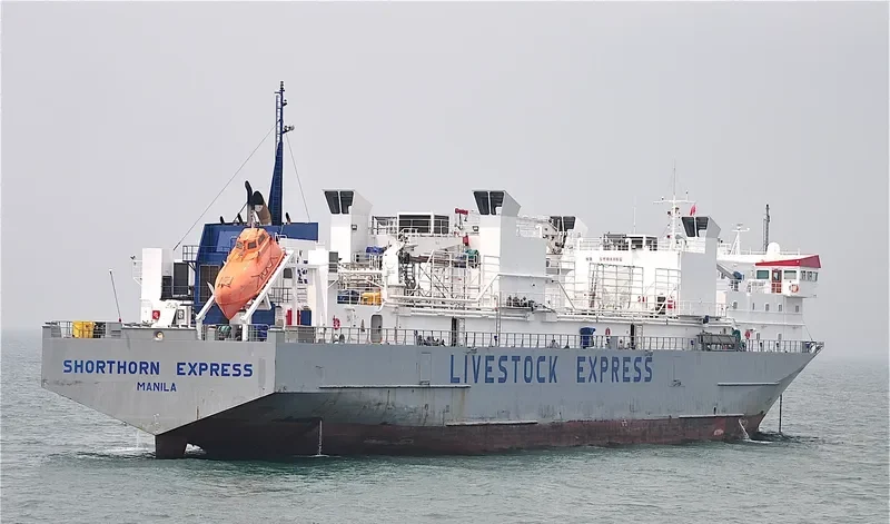 SHORTHORN EXPRESS General Cargo IMO 9167318 photo 9