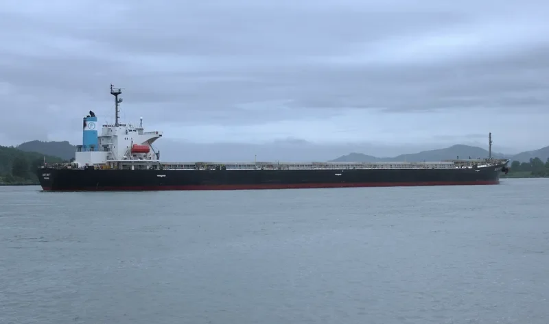 BEST UNITY Bulk Carrier IMO 9167368