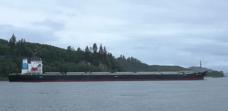BEST UNITY Bulk Carrier IMO 9167368 photo 2