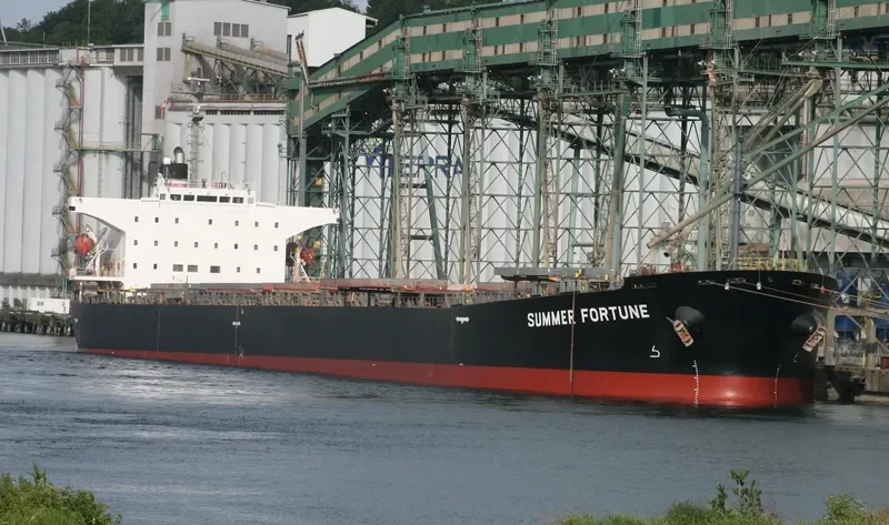 BEST UNITY Bulk Carrier IMO 9167368 photo 10