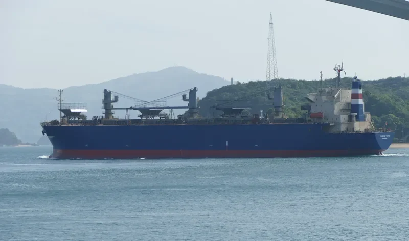 PRINCE OF TOKYO Bulk Carrier IMO 9167497