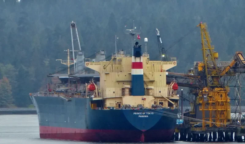 PRINCE OF TOKYO Bulk Carrier IMO 9167497 photo 7
