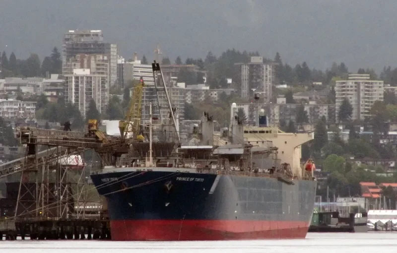 PRINCE OF TOKYO Bulk Carrier IMO 9167497 photo 8