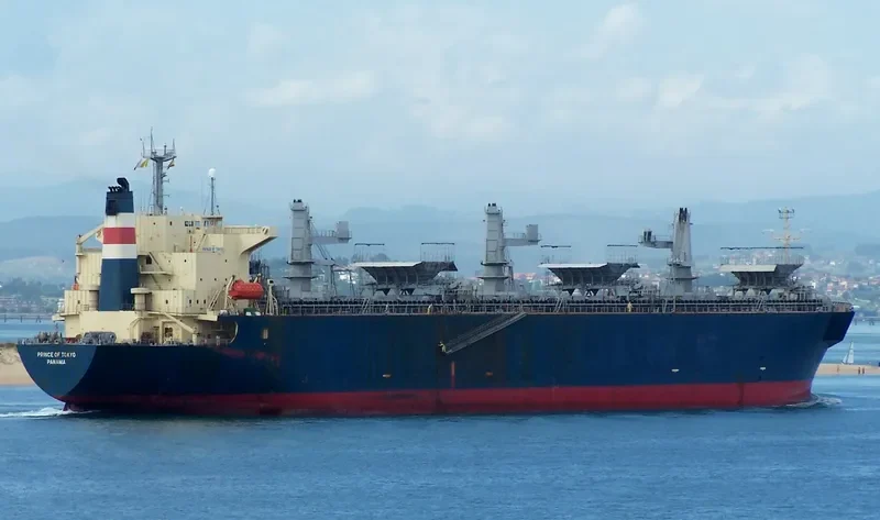 PRINCE OF TOKYO Bulk Carrier IMO 9167497 photo 10