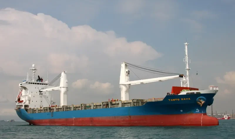 TANTO RAYA Container Ship IMO 9167526