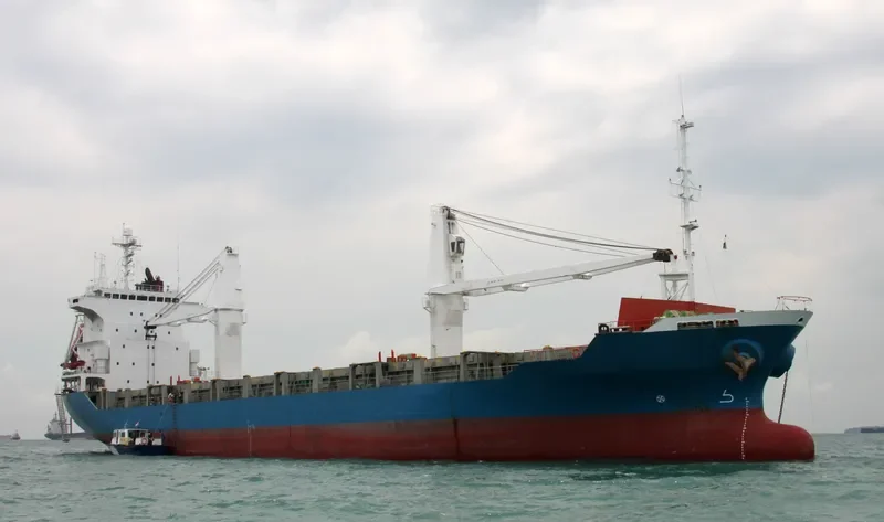 TANTO RAYA Container Ship IMO 9167526 photo 2