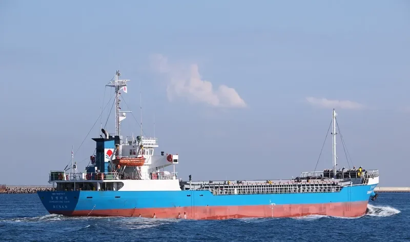 BAIKAL General Cargo IMO 9167617 photo 6
