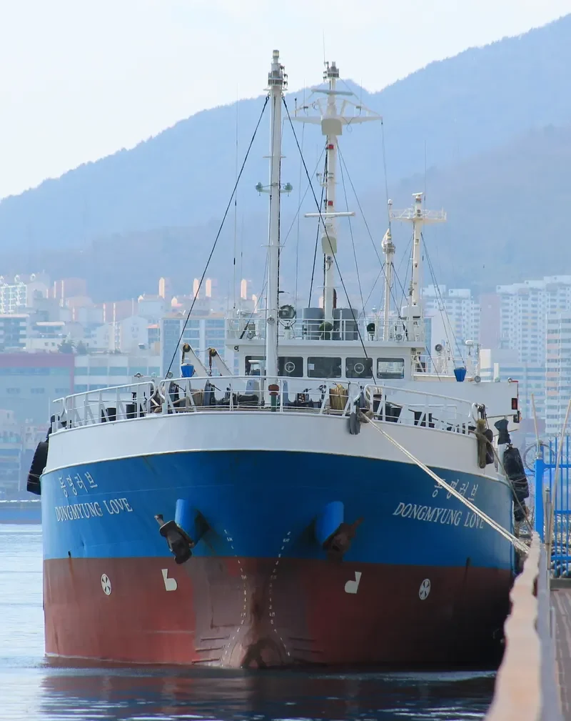 BAIKAL General Cargo IMO 9167617 photo 10