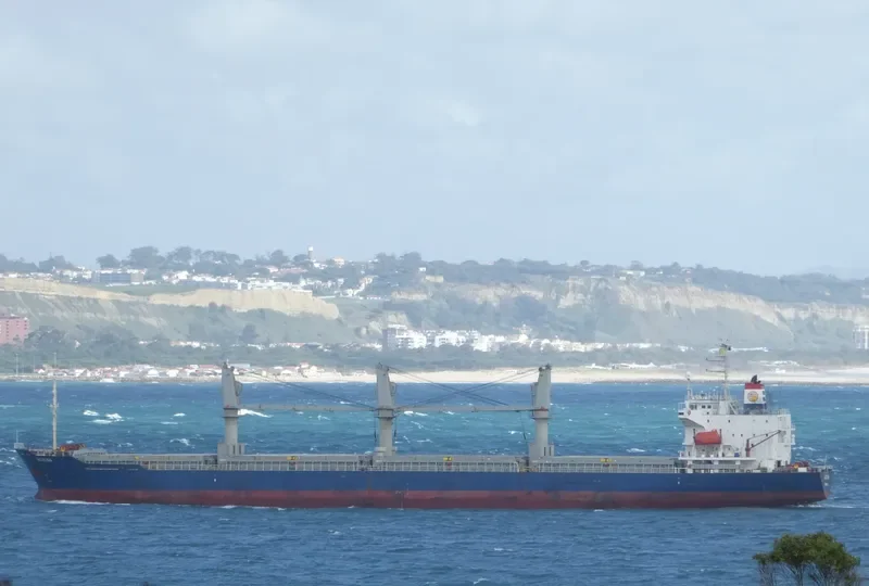 AMIRA MARIAM General Cargo IMO 9167631 photo 10