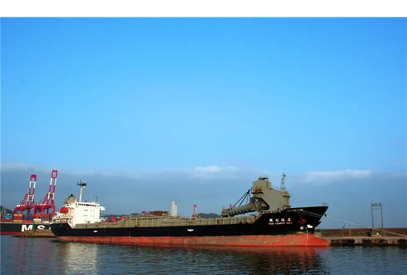 DA SHEN Bulk Carrier IMO 9167681 photo 2