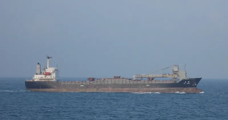 DA SHEN Bulk Carrier IMO 9167681 photo 4