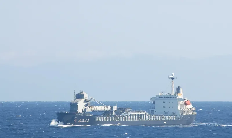 DA SHEN Bulk Carrier IMO 9167681 photo 10