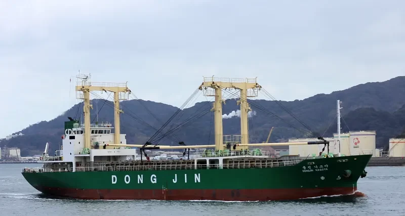 DONGJIN NAGOYA General Cargo IMO 9167708 photo 5