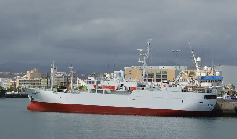 KORYO MARU NO.15 General Cargo IMO 9167758
