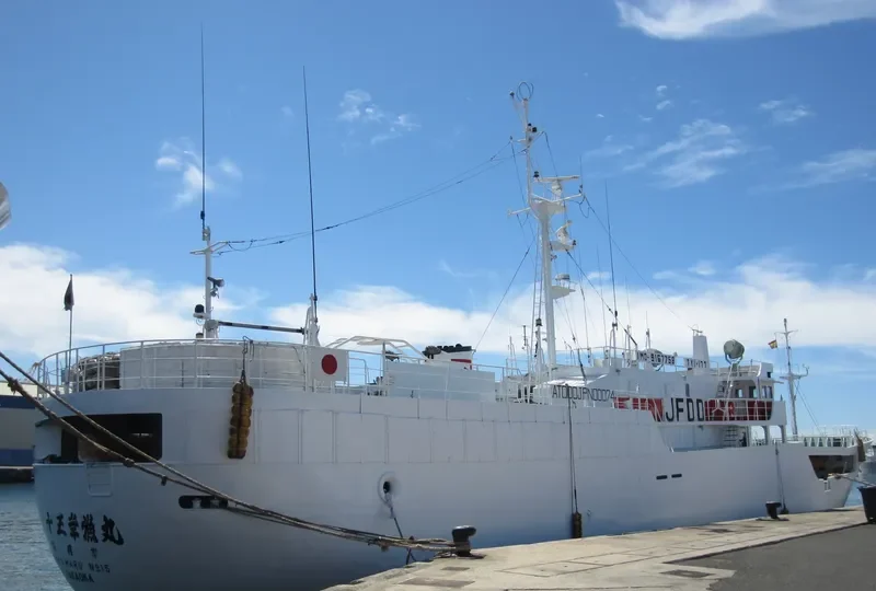 KORYO MARU NO.15 General Cargo IMO 9167758 photo 4