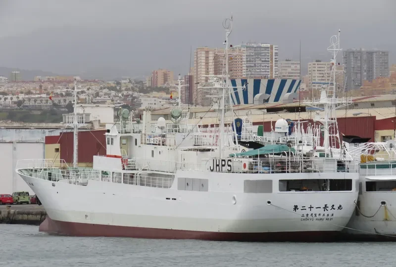 CHOKYU MARU NO.21 General Cargo IMO 9167784