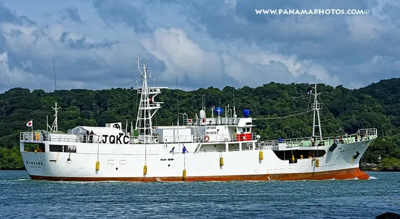 SHOSHIN MARU NO.83 General Cargo IMO 9167813
