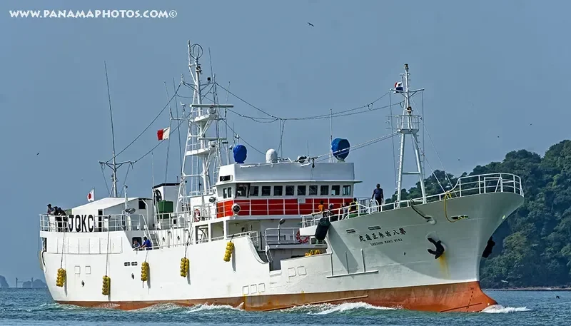 SHOSHIN MARU NO.83 General Cargo IMO 9167813 photo 2