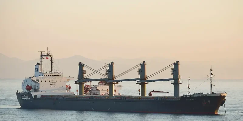 RI YUN Bulk Carrier IMO 9167863