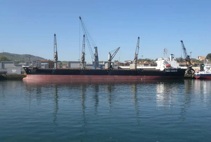 RI YUN Bulk Carrier IMO 9167863 photo 3
