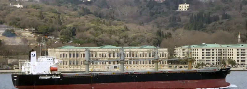 RI YUN Bulk Carrier IMO 9167863 photo 5