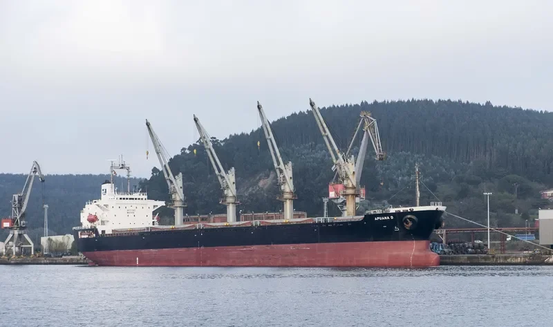 RI YUN Bulk Carrier IMO 9167863 photo 6