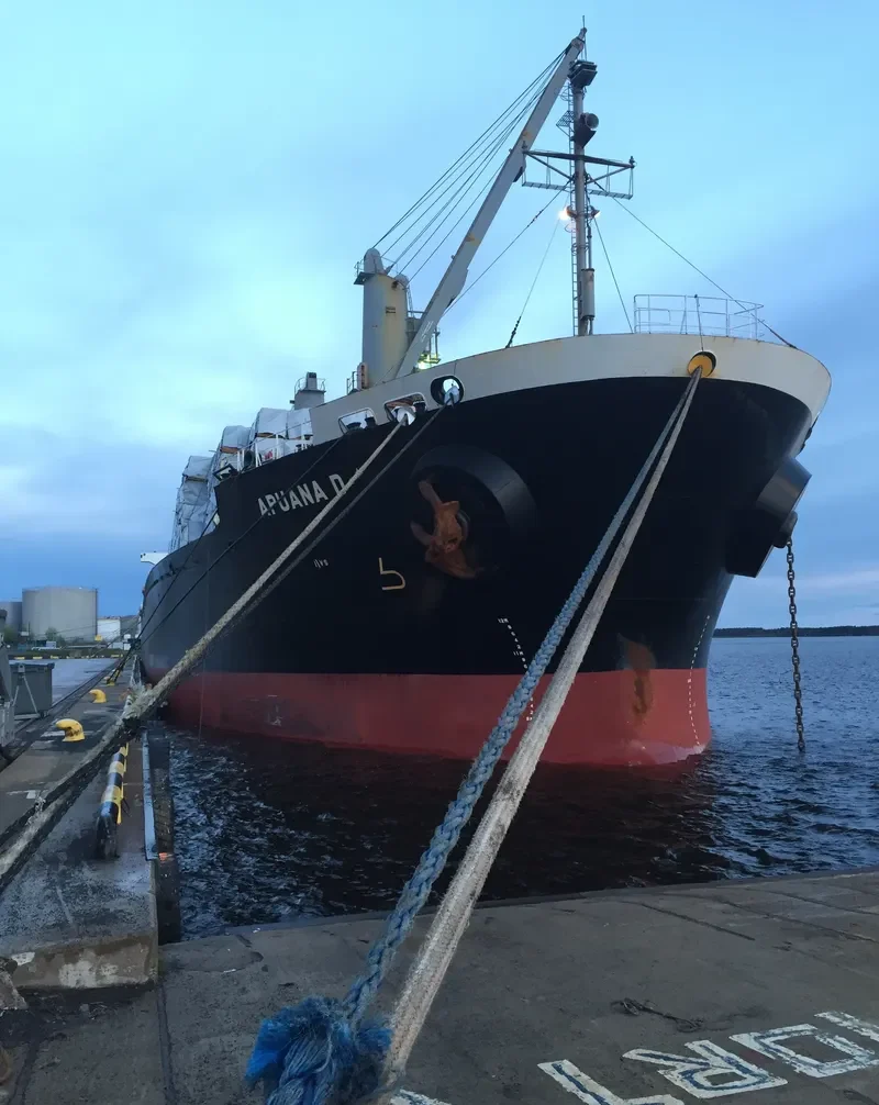 RI YUN Bulk Carrier IMO 9167863 photo 8