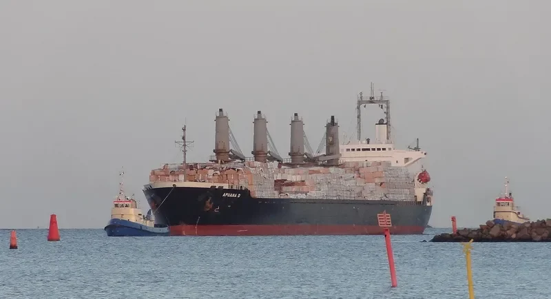 RI YUN Bulk Carrier IMO 9167863 photo 10