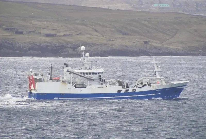 VIKING General Cargo IMO 9167916 photo 9