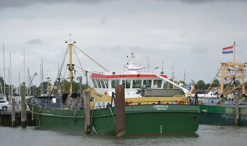 YE157 CORNELIA General Cargo IMO 9168001