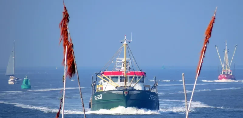 YE157 CORNELIA General Cargo IMO 9168001 photo 5