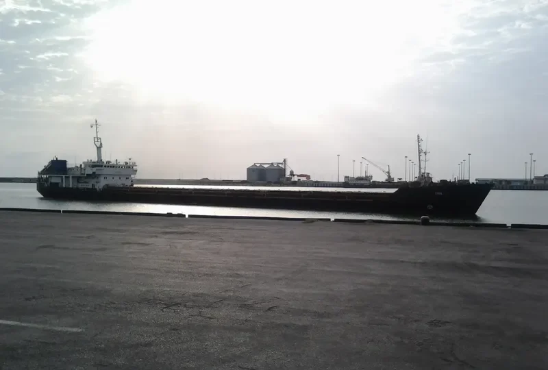 TINA General Cargo IMO 9168166