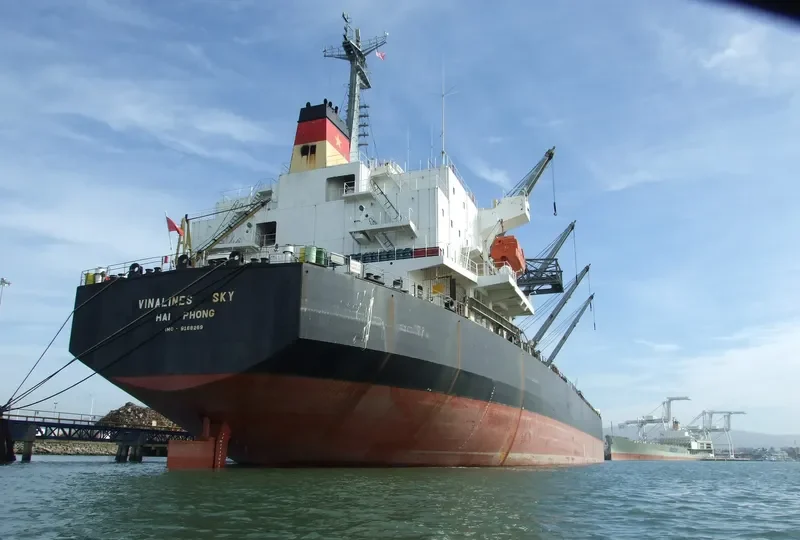 VIET THUAN STAR Bulk Carrier IMO 9168269 photo 3