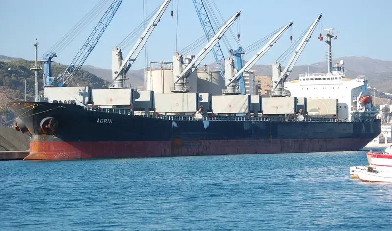 VIET THUAN STAR Bulk Carrier IMO 9168269 photo 4