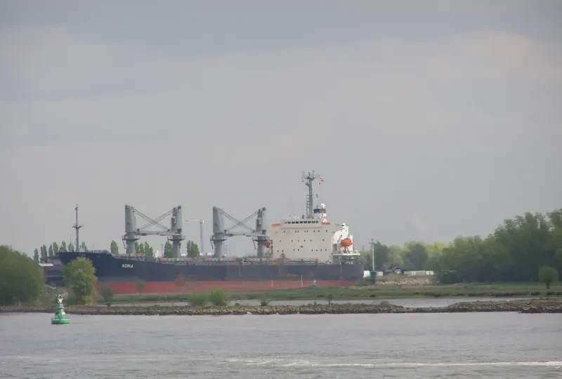 VIET THUAN STAR Bulk Carrier IMO 9168269 photo 8