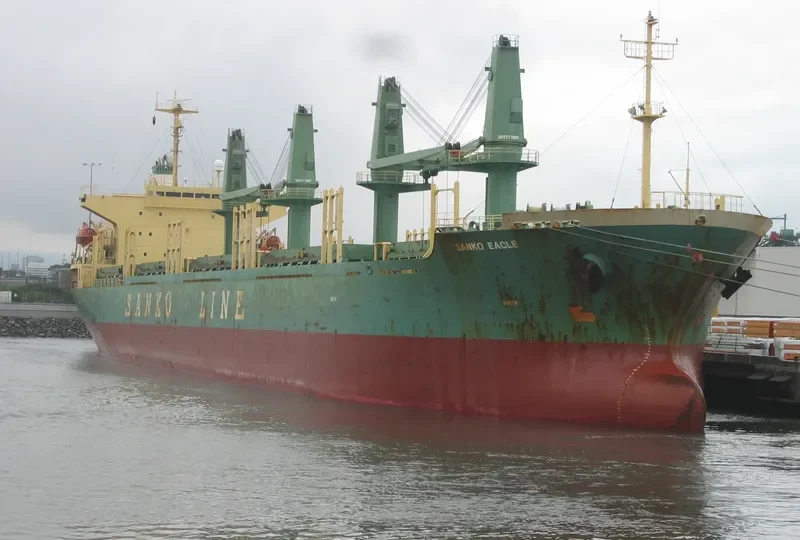 H WHALESHARK General Cargo IMO 9168348 photo 8