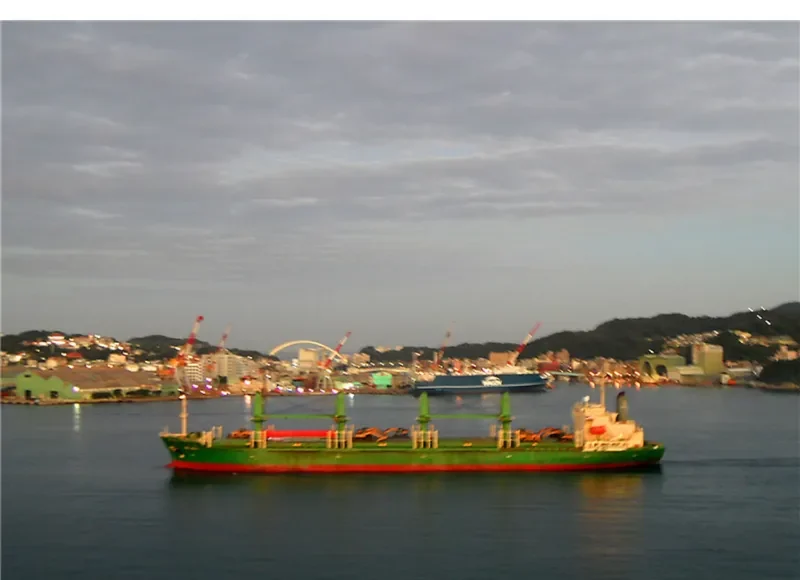 H WHALESHARK General Cargo IMO 9168348 photo 9