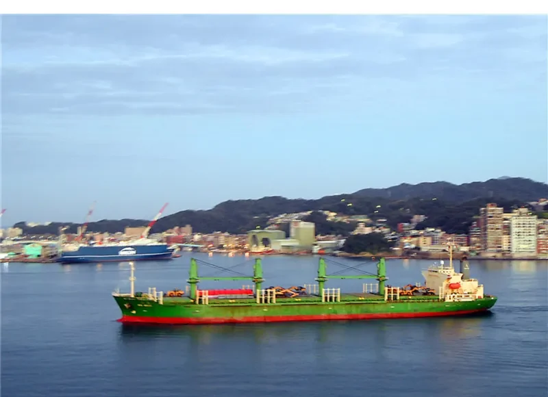 H WHALESHARK General Cargo IMO 9168348 photo 10