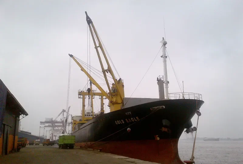GOLD EAGLE General Cargo IMO 9168398