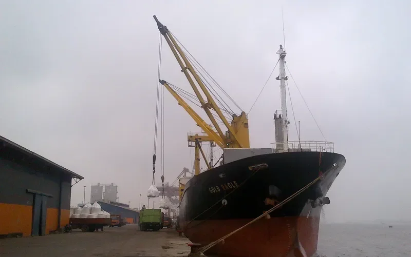 GOLD EAGLE General Cargo IMO 9168398 photo 2