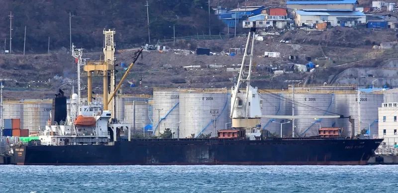 GOLD EAGLE General Cargo IMO 9168398 photo 6